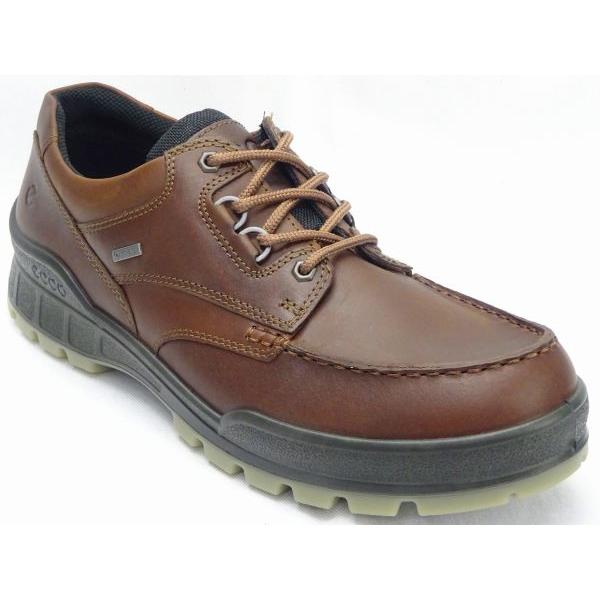 ecco TRACK 25 M エコー　ゴアテックス GTX ECCO エコー TRACK 25 GORE-TEX M トラック 25 メンズ BLACK