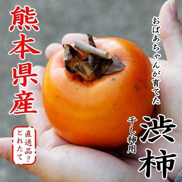 送料無料 無農薬 熊本県産 干し柿用 渋柿 8キロ 数量限定 農家直送