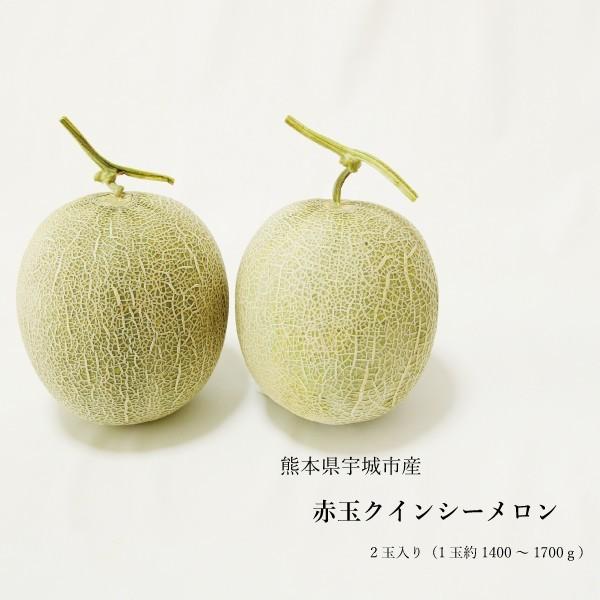 送料無料 熊本県産 クインシーメロン 赤肉 2玉 ギフト用 農家直送 贈答用 贈り物 母の日 プレゼント K Melon G Big River 通販 Yahoo ショッピング