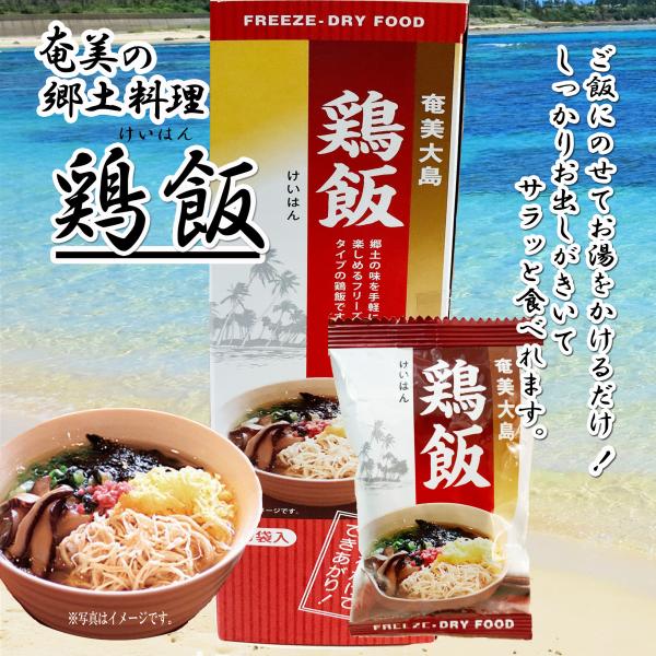 フリーズドライ食品 鶏飯 10g×10個セット インスタント ギフト 非常食 保存食 ご当地料理 奄美大島