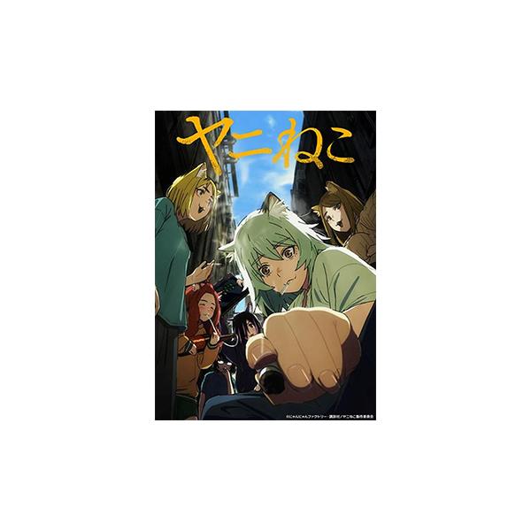 【予約】ブシロード トレーディングカード コレクションクリア ヤニねこ BOX（20個入）【12月11日発売】