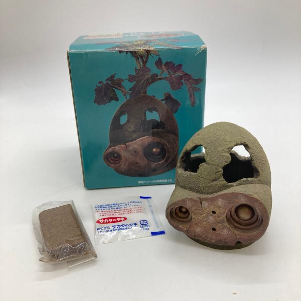 【廃盤☀︎レア】天空の城ラピュタ「ロボット兵から(ミニトマト)」：てのひら菜園 廃盤☀︎レア】天空の城ラピュタ「ロボット兵から(ミニトマト