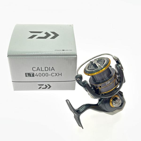 ▽▽ DAIWA ダイワ スピニングリール 21カルディア LT4000-CXH