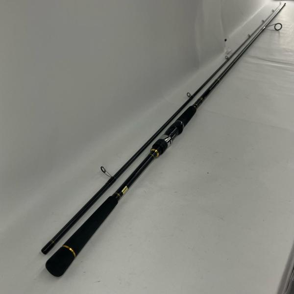 バスロッド DAIWA ダイワ 05800076 シーバスハンターX 96ML・R 9'6"