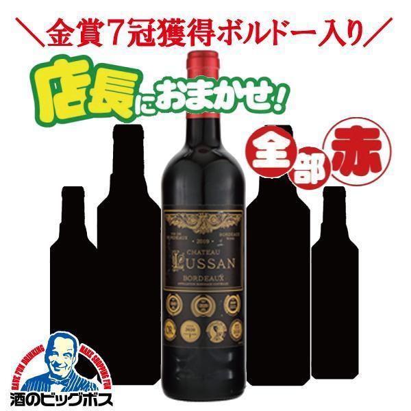 ワイン ワインセット 赤ワイン wine 送料無料 第6弾 店長におまかせ