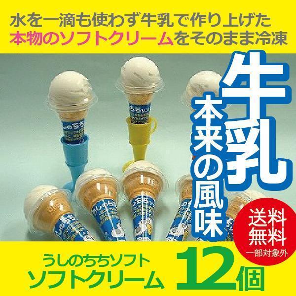 お歳暮 御歳暮 ギフト アイスクリーム 送料無料 {うしのちちソフト10個セット} 冷凍便『YWS』