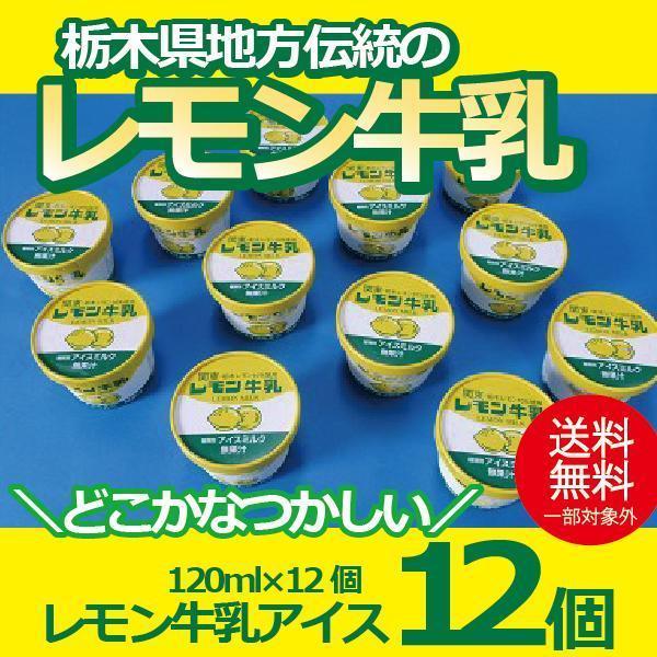 お歳暮 御歳暮 ギフト アイスクリーム 送料無料 {レモン牛乳アイス12個セット} 冷凍便『YWS』