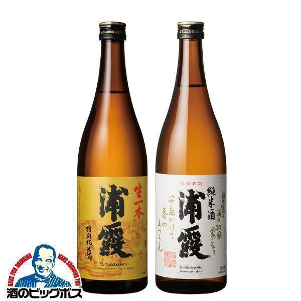 日本酒 純米酒 送料無料 浦霞 純米2種飲み比べセットC 生一本 特別純米酒＆純米酒 ギフト 720ml×2本 宮城県 佐浦『HSH』