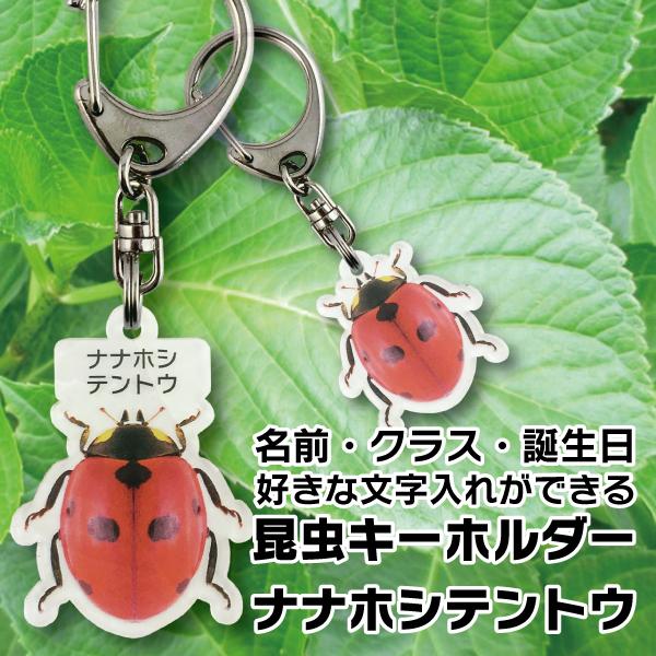 名入れ プレゼント 昆虫 キーホルダー ナナホシテントウ 子供 入学 入園 お祝い ネームタグ 名札 ネームプレート ムシ むし 母の日 父の日
