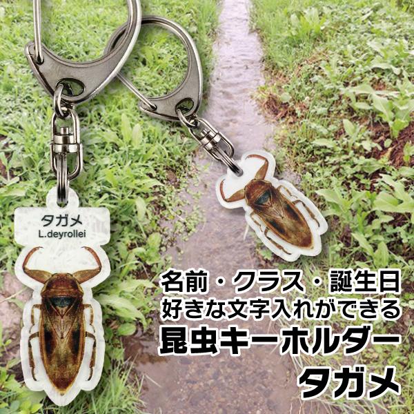 名入れ プレゼント 昆虫 キーホルダー タガメ 子供 入学 入園 お祝い ネームタグ 名札 ネームプレート ムシ むし 母の日 父の日