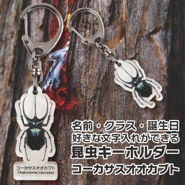 名入れ プレゼント 昆虫 キーホルダー コーカサスオオカブト  子供 チャイルド ネームタグ 名札 ネームプレート むし ムシ 母の日 父の日