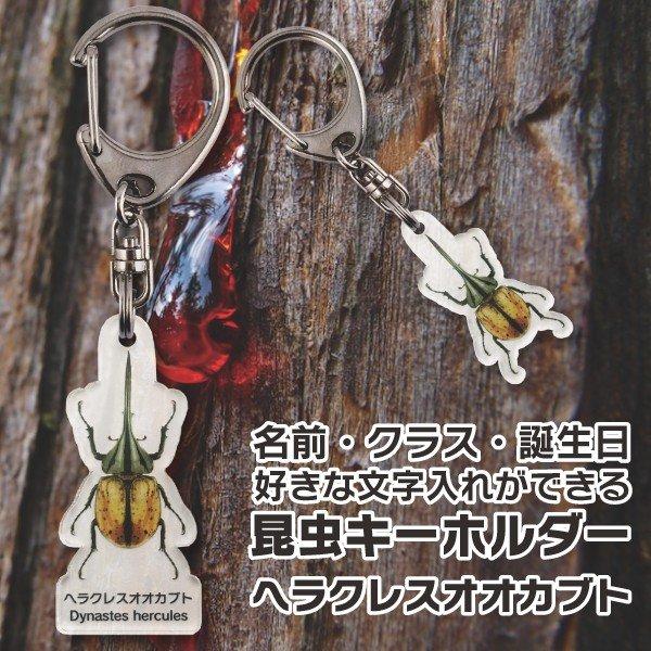 名入れ プレゼント 昆虫 キーホルダー ヘラクレスオオカブト  子供 チャイルド ネームタグ 名札 ネームプレート むし ムシ 母の日 父の日