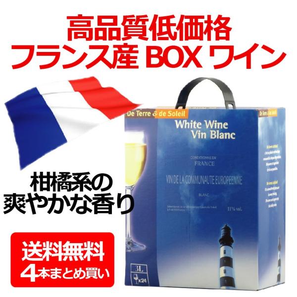 ソレイユブラン 送料無料 テール エ ソレイユ ブラン 3000ml（3L）×1ケース/4本