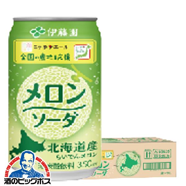 メロンソーダ メロンソーダ 缶 送料無料 伊藤園 北海道産らいでん 350ml×1ケース/24