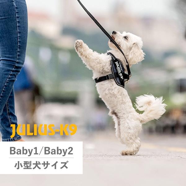 イヌにかかる力を最適化することをメインに作られたJulius-K9のIDCパワーハーネス。こちらはBaby1とBaby2のサイズです。手に握ったリードと胸当てが平行になるよう作られているので、飼い主が加えた力が無駄なく犬に伝わってくれます。...