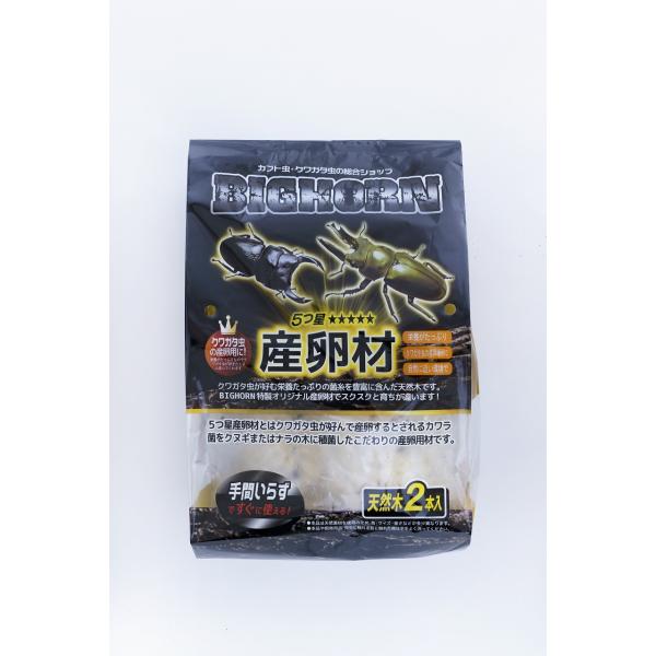 6本セット！クワガタの産卵木はコレが最強！　カワラ植菌材【特大Lサイズ】 最強のクワガタの産卵木！ カワラタケ植菌材 特大Lサイズ カビ