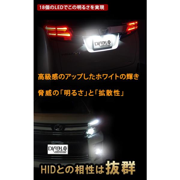 bigkmartjapan_gn-2020wx098-1_4