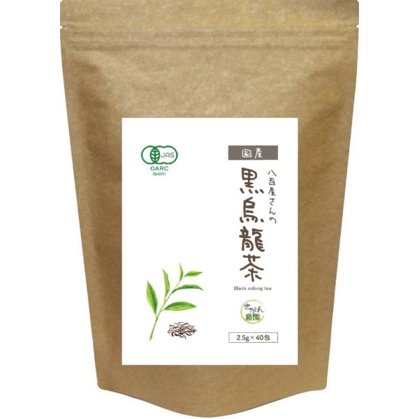 お得用 有機栽培 黒烏龍茶 国産 ティーパック 2.5g×40包 健康茶さがん農園