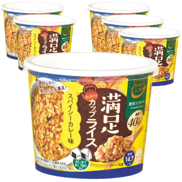 他サイト： からだシフト 糖質コントロール 満足カップライス スパイシーカレー味 29.9g×6個の商品画像