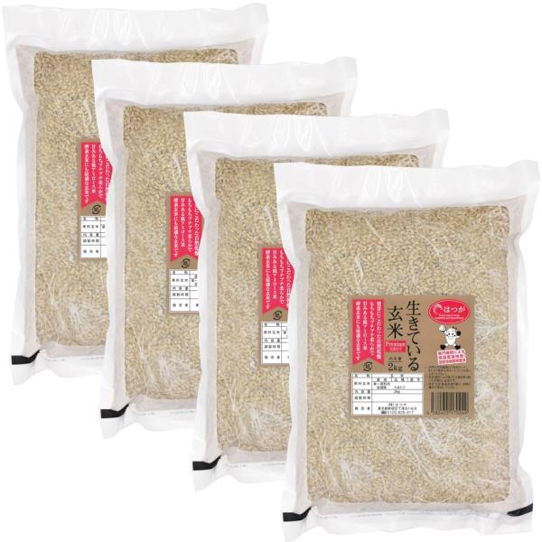 酵素玄米 専用炊飯器 なでしこ健康生活