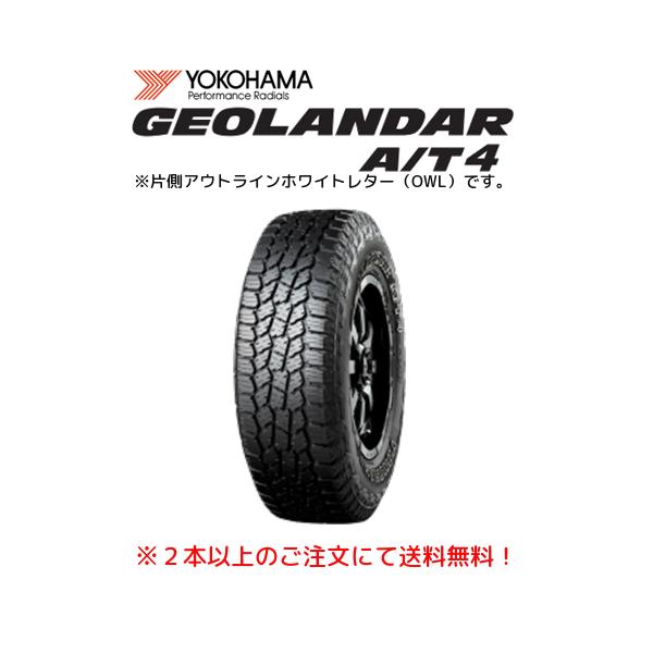 bigrun-ichige-store_geolandar-
