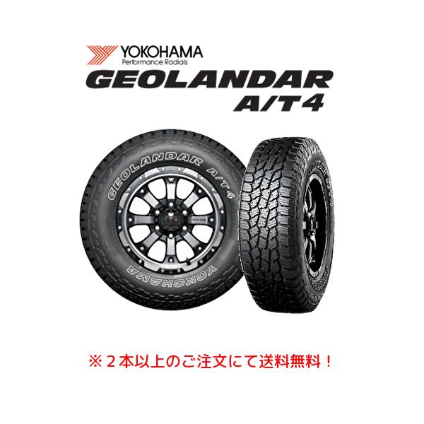 bigrun-ichige-store_geolandar-