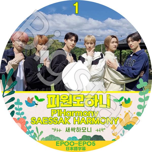 K-POP+アジア p1harmony usb K-POP+アジア p1harmony usb P1HARMONY 5TH MINI ALBUM HARMONY