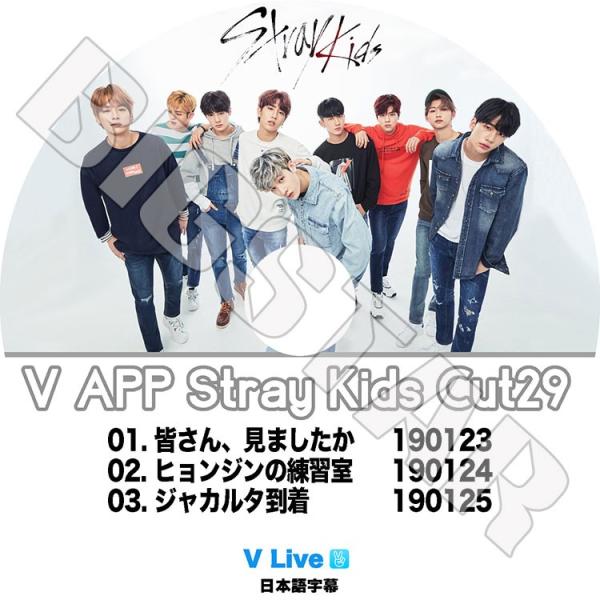 K-POP DVD Stray Kids V APP Cut 29 日本字幕あり ストレイ
