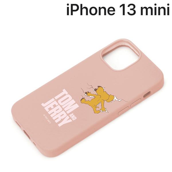 gƃWF[ iPhone 13 minip RۃXVRP[X WF[ PG-WSC21J01JER ([֑)