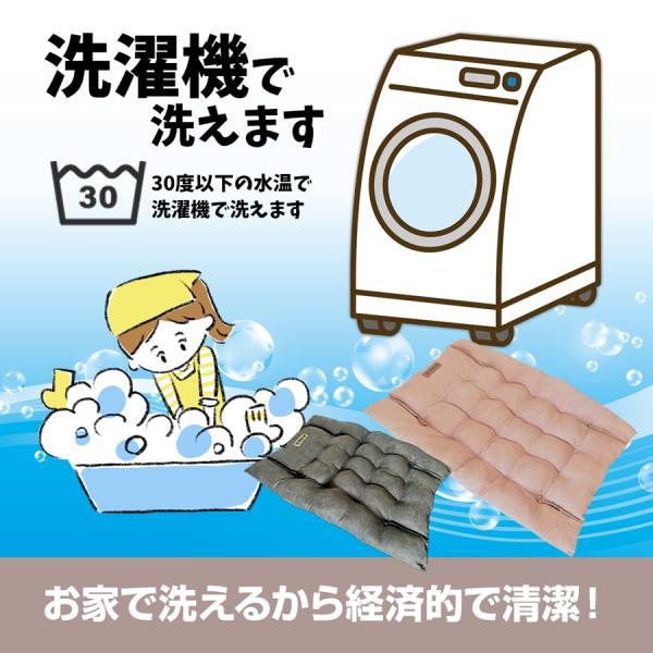 bigworld2022_pet-01_5_d_20250314092223