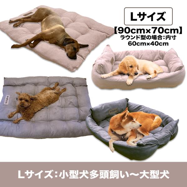 bigworld2022_pet-01_6_d_20250314092231