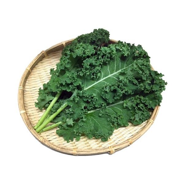 地中海沿岸原産のアブラナ科の野菜。栄養価の高い非結球キャベツで、ビタミンの含有量は緑黄色野菜の中でも多く、青汁の原料としても知られています。特にビタミンAはニンジンの2倍、カルシウムは牛乳の2倍以上含み、そのほか食物繊維や抗酸化物質であるル...