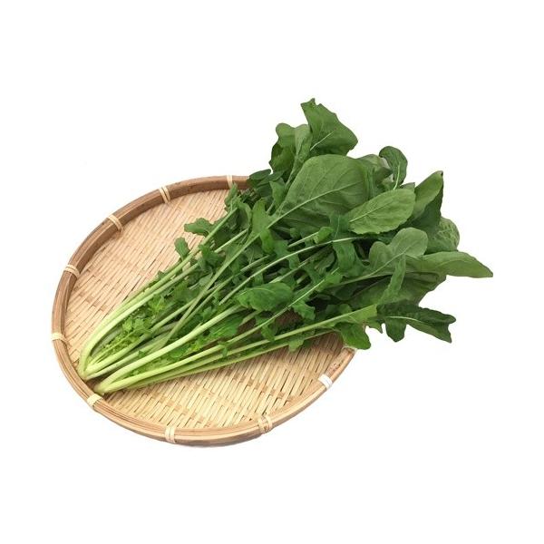 ルッコラは、地中海沿岸原産のアブラナ科キバナスズシロ属の一年草。炒ったごまに似た香りやピリッとした辛みが特徴で、クレオパトラが美貌を保つために好んで食べていたと言われているほど、昔から栄養価の高い野菜として知られています。β-カロテン、ビタ...