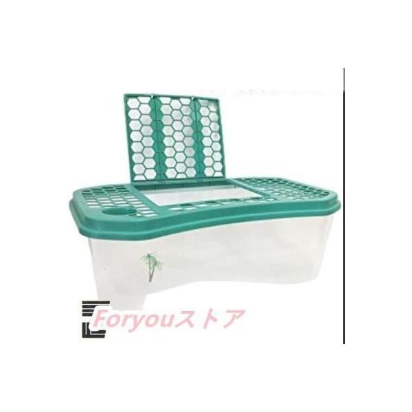 カメ用水槽 大きい カメ 水槽 亀の水槽 60CM 74CM 亀 飼育ケース ボックス タートルタンク 日向ぼっこ台 ミドリガメ クサガメ スッポン 観察 排水孔 階段 エサ皿