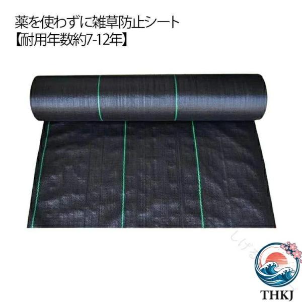 防草 シート 半永久 人工芝 高密度 強力 抑制 雑草防止 シート 除草シート UV THKJ 剤入り 農用 シート ロール 50cm × 200m 芝生 草 よけ シート 畑 田んぼ 庭