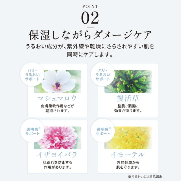 bijinlabo_y366700_5_d_20250108135842