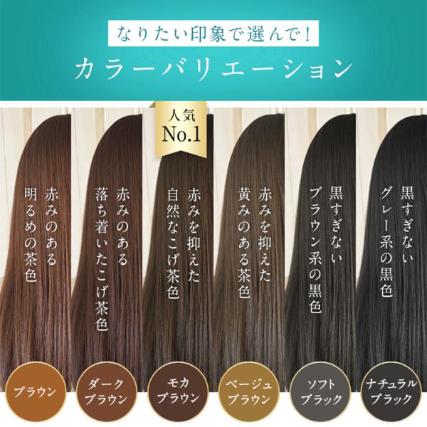 公式 Lplp ルプルプ ヘアカラートリートメント 白髪染め ヘアカラートリートメント 5 500円以上送料無料 Buyee Buyee Japanese Proxy Service Buy From Japan Bot Online