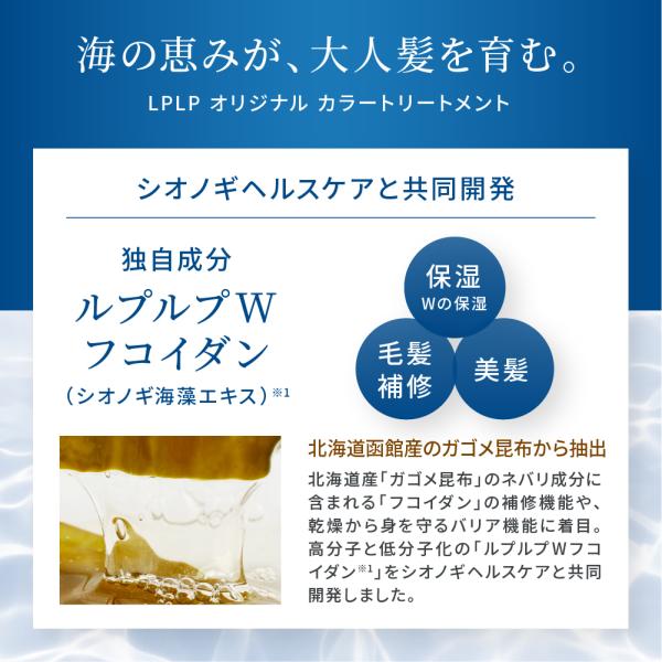 bijinlabo_ycolor3-te_4_d_20231228161418