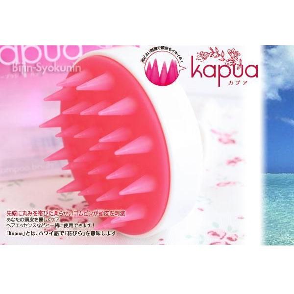 Vv[uV JvA Kapua gR C_Xg[Y (v[g Mtg)