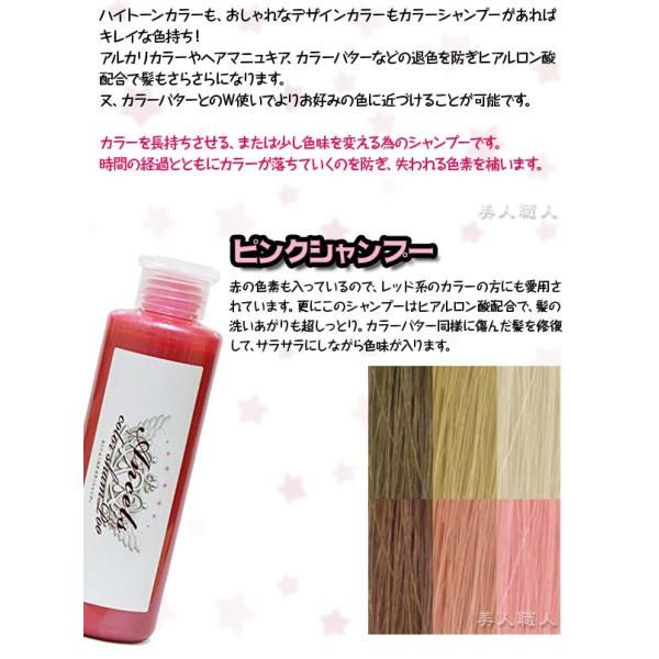 エンシェールズ カラーシャンプー 0ml ピンクシャンプー ムラサキシャンプー シルバーシャンプー ミルクティ あすつく ４個で送料無料 プレゼント ギフト Buyee 日本代购平台 产品购物网站大全 Buyee一站式代购 Bot Online