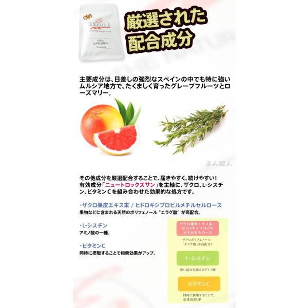 日焼け 止め サプリ ニュート ロックス サン