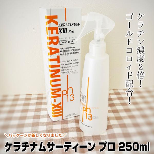 P`iT[eB[ v 250ml  () 􂢗Ȃg[gg keratinum13 pro P`iXIII P`i T[eB[