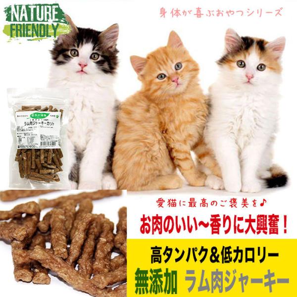 ラム肉 ペットの人気商品 通販 価格比較 価格 Com