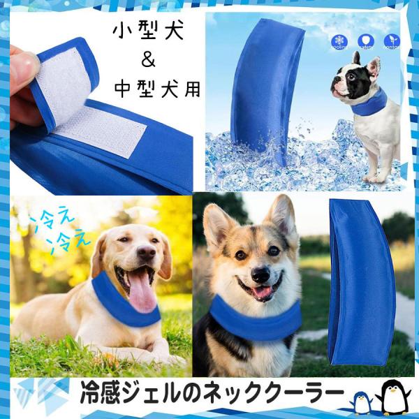 ネッククーラー 保冷剤 犬用品の人気商品 通販 価格比較 価格 Com