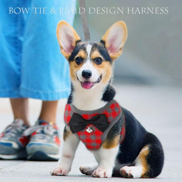犬 ハーネス 犬ハーネス 犬用ハーネス 犬のハーネス おしゃれ かわいい リード 子犬 小型犬 中型犬 脱げない 犬ハーネスリードセット ブラウニースイート Buyee Buyee Japanischer Proxy Service Kaufen Sie Aus Japan