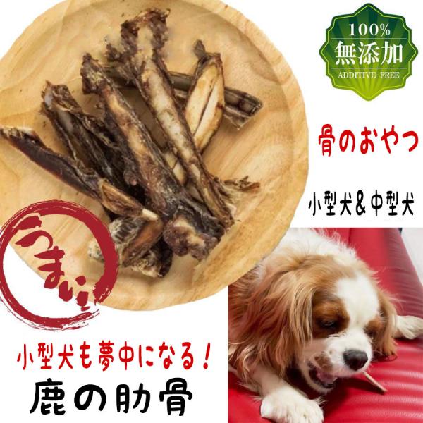 ★ 全犬種対応/無添加/国産の高級/鹿のあばら骨です♪★ 長さは、12〜13cm、厚み：3〜4mmなので小型犬にも食べやすいサイズです。（約8〜10本入り）★ 高タンパク＆低カロリーで鉄分たっぷり♪また噛むことで、歯の健康や歯石予防、ワンち...