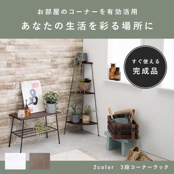 bikagu_hg-kr-3847