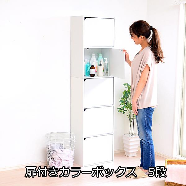 A4サイズ収納OK！ 扉付きカラーボックス 5段 / 扉付き収納棚