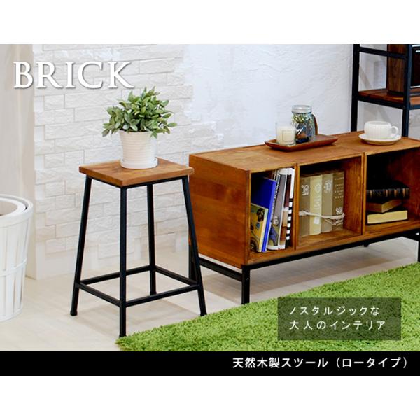 bikagu_ss-pr-bs49lo