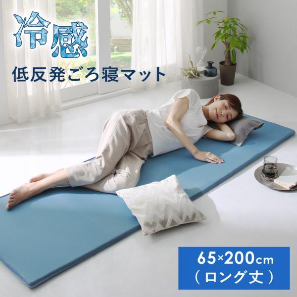 夏のお昼寝に 低反発 ごろ寝マット ロング丈 65 0cm ひんやりマット 冷感マット シングル 大人 夏用 日本製 洗える カバー付き コンパクト 軽量 P Tu Houseboat 通販 Yahoo ショッピング